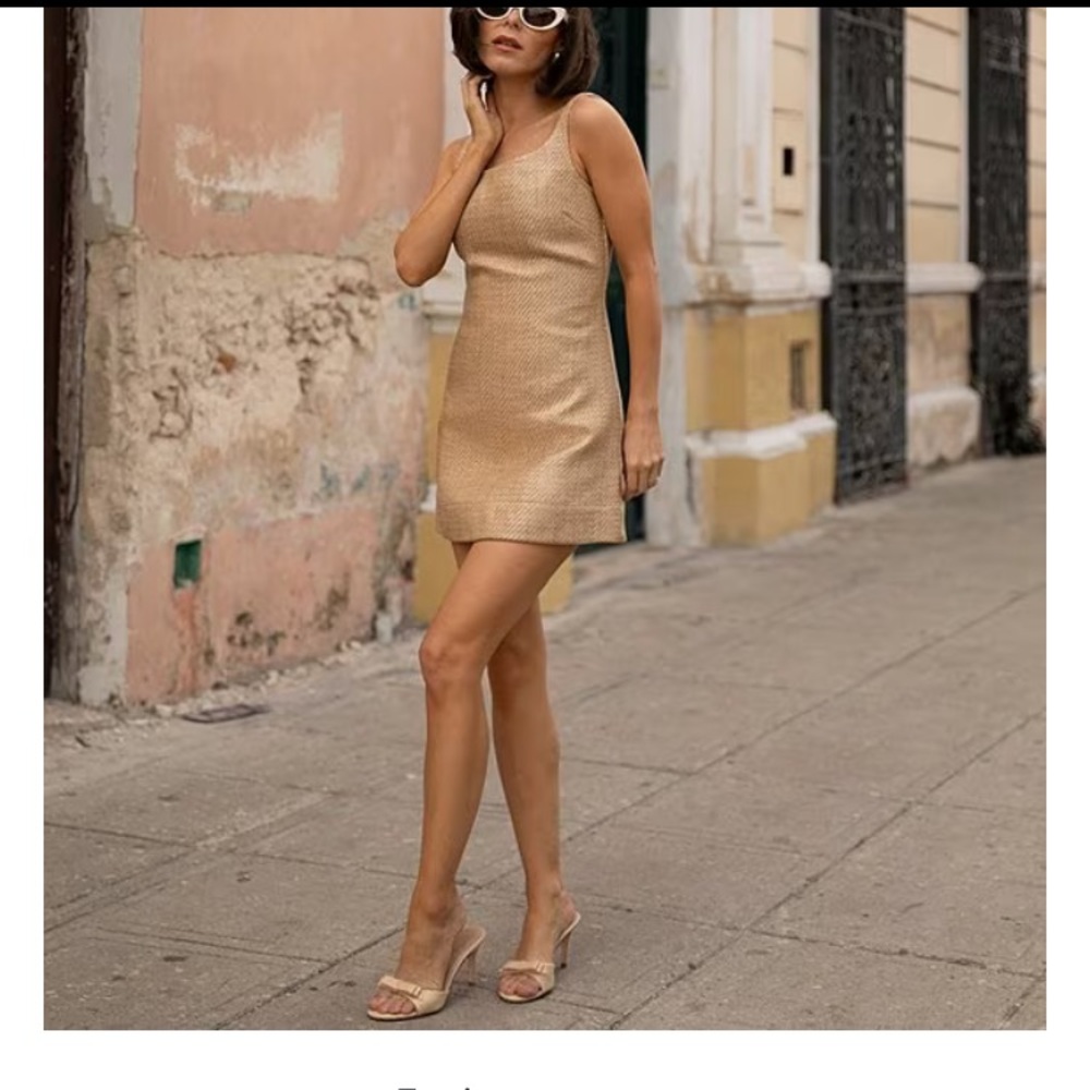 NWT Antonio Melani X Style Bungalow Manana raffia scoop neck mini dress size 6